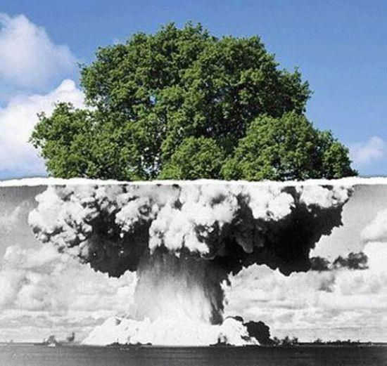 Etnografia_Educación