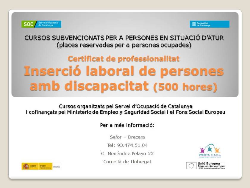 curso inserción laboral