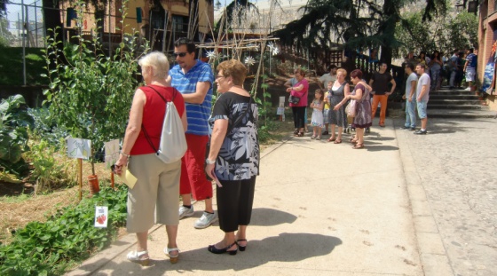 impulsando sueños a través del arte