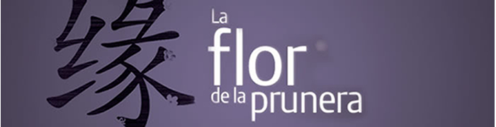 la flor de la prunera