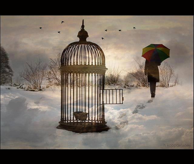 936195_604364612916803_1076891504_n